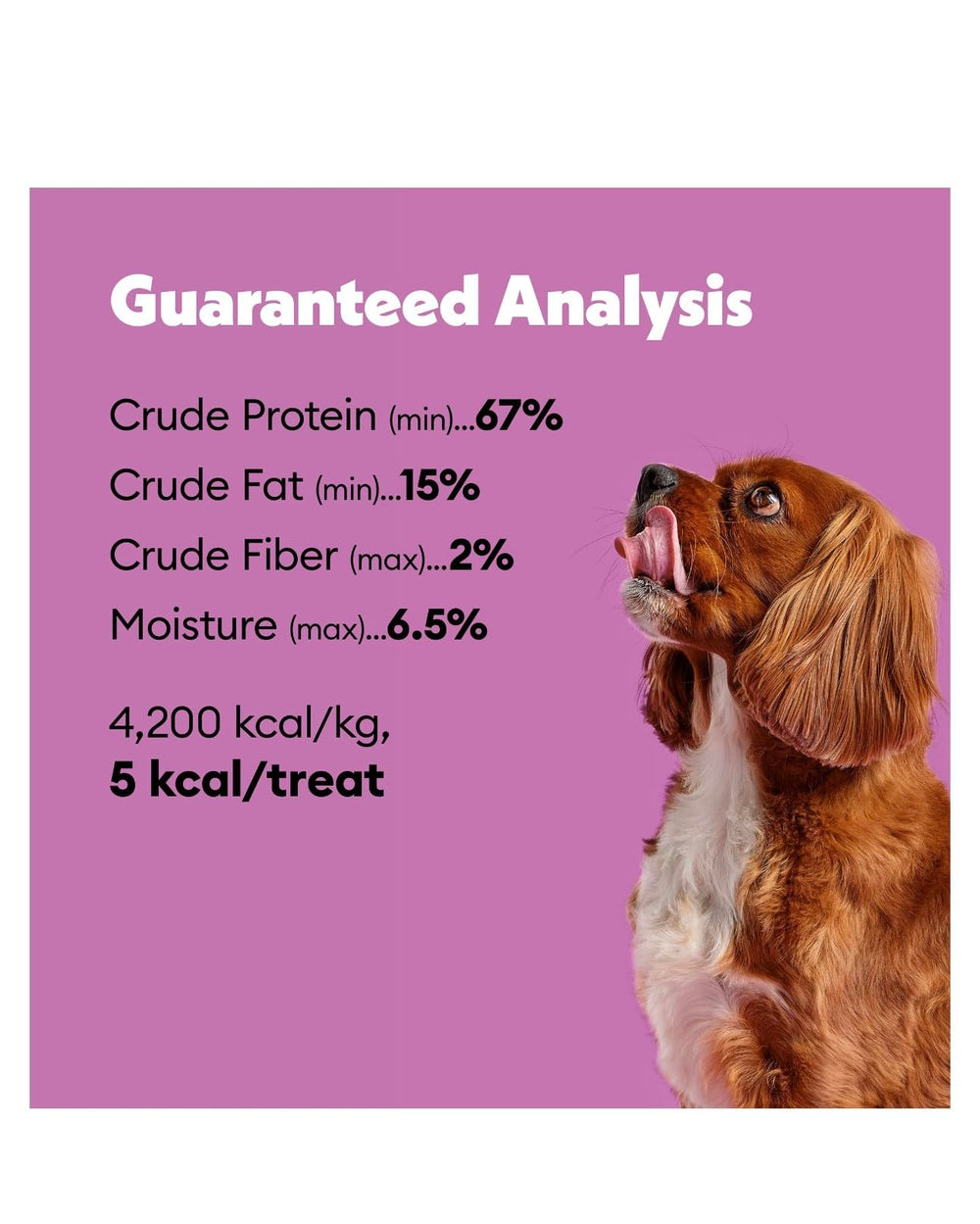On-walk accessory showing dispenser attached to leash for easy access
