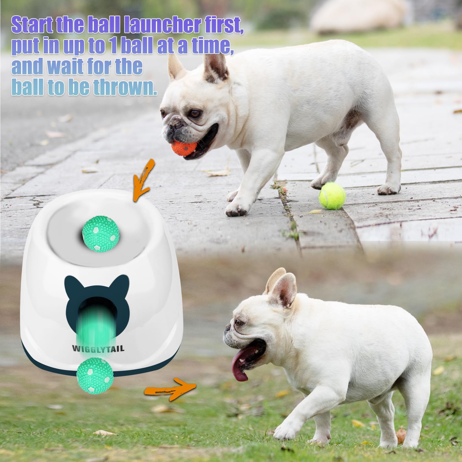 WIGGLYTAIL six latex and four tennis balls offer variety