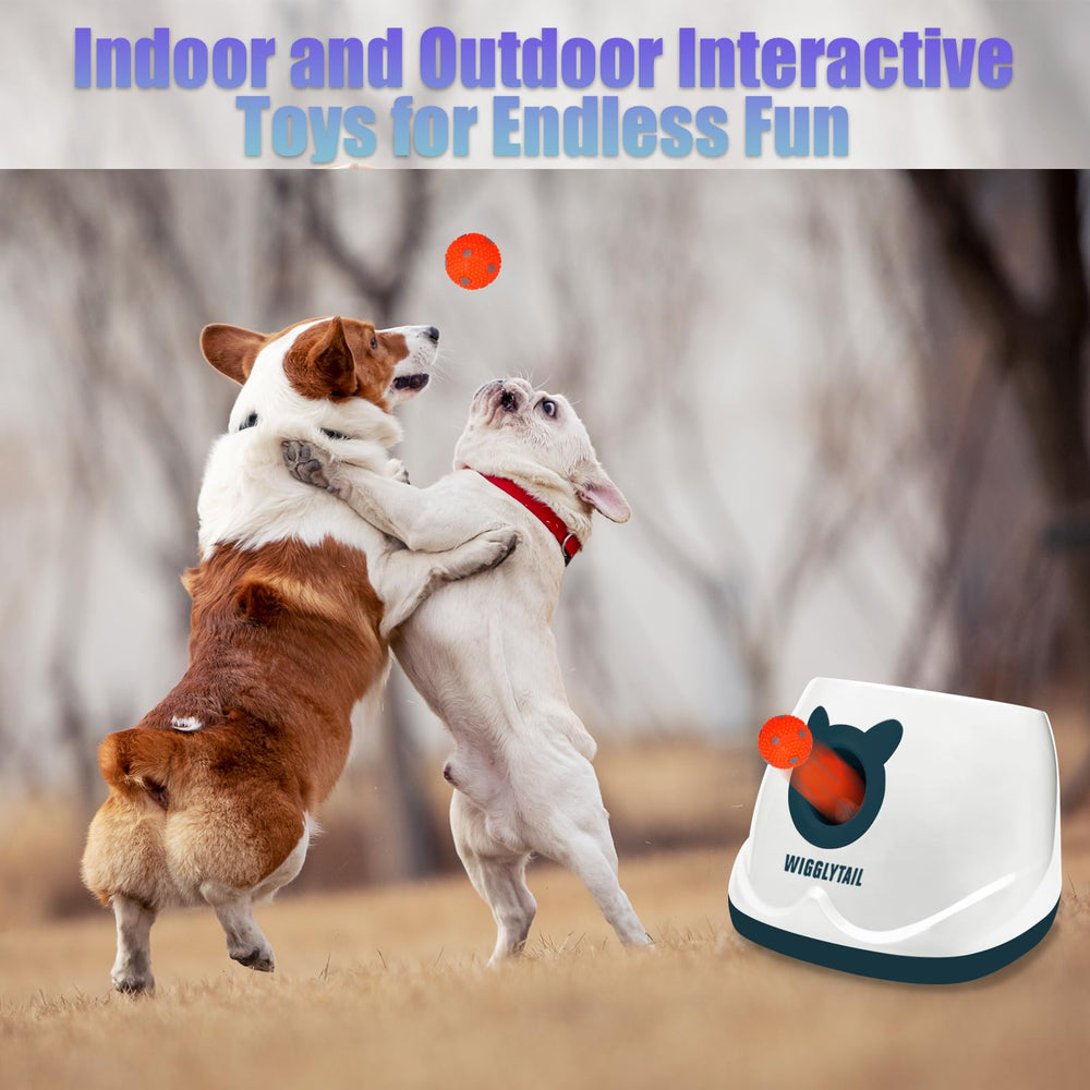 WIGGLYTAIL power options with AC adapter for indoors
