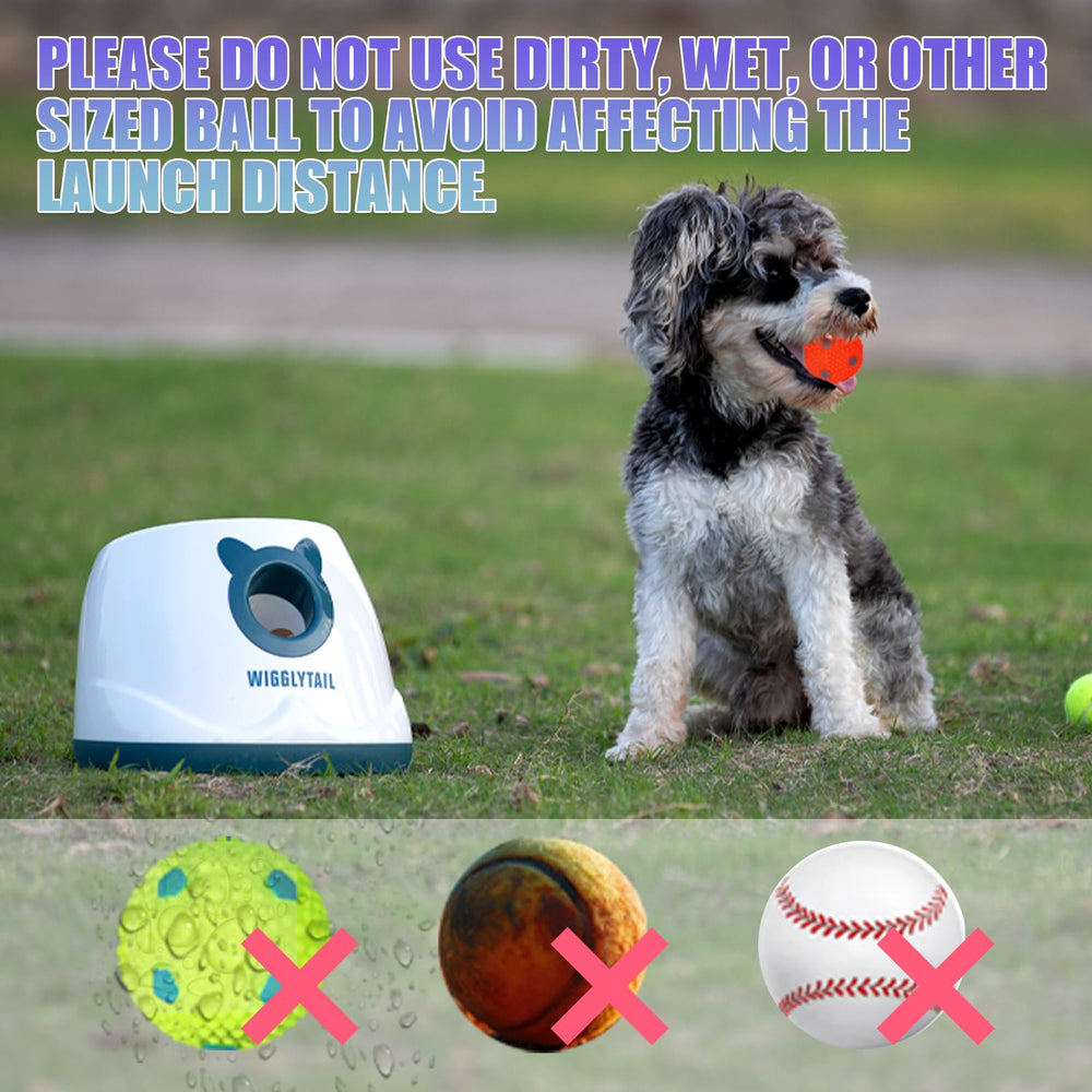 WIGGLYTAIL compact device facilitates small-dog interaction