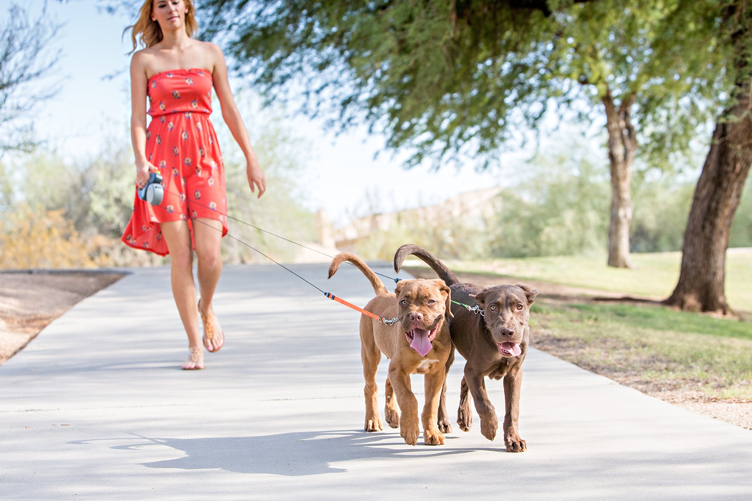 WIGZI orange neon leads during night walks for safer visibility