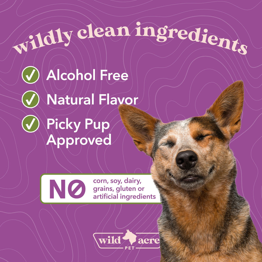 Wild Acre Milk Thistle for Dogs happy dog after feeding