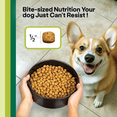 Wild Earth DHA Taurine L-Carnitine included in kibble to support brain and heart health.