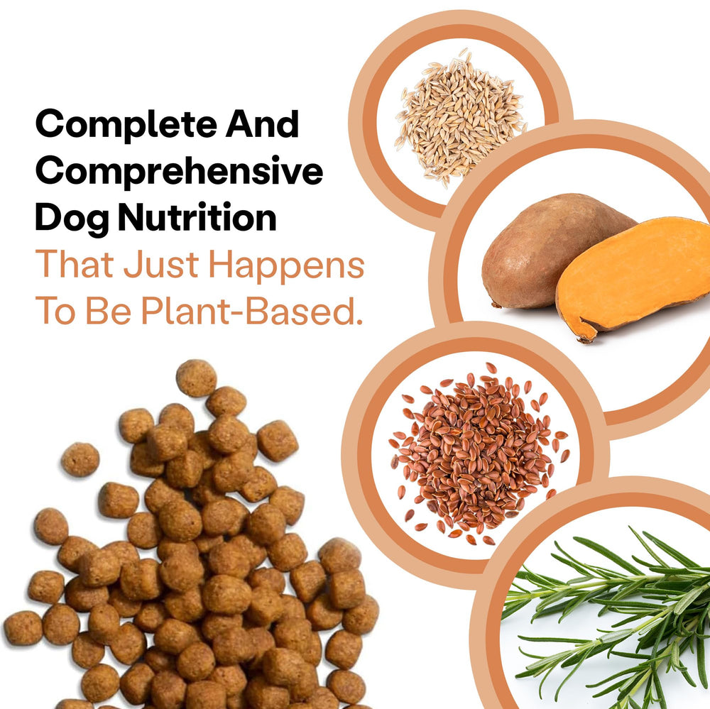 Wild Earth packaging emphasizes plant-based nutrition and sustainability.