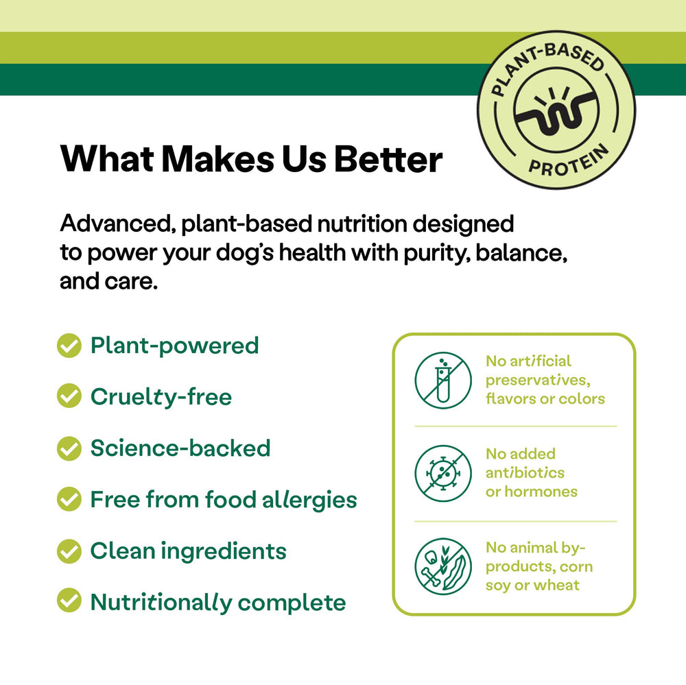 Wild Earth plant-based protein ingredients in kibble support recovery and digestion.