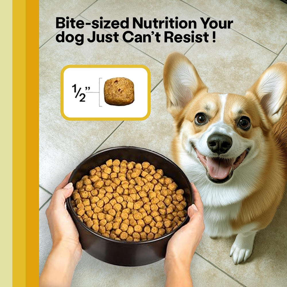 Wild Earth vegan dry dog food-kibble-closeup reveals texture and bite-size shape