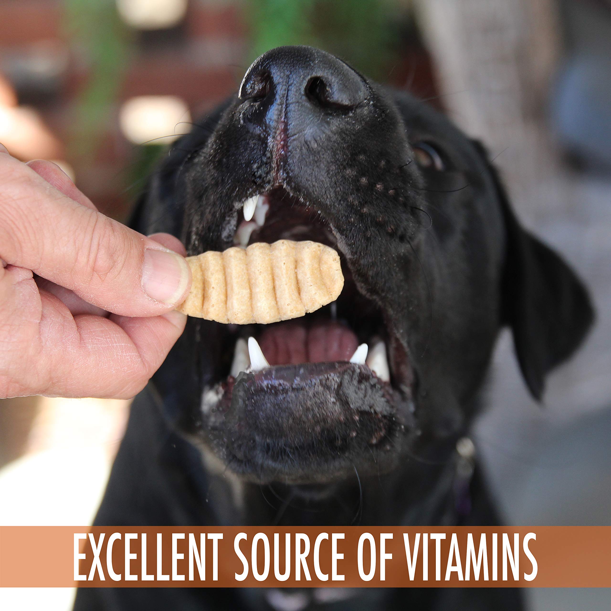 Wild Eats 12 oz dog treats packaging closeup highlights USA-sourced ingredients and quality.