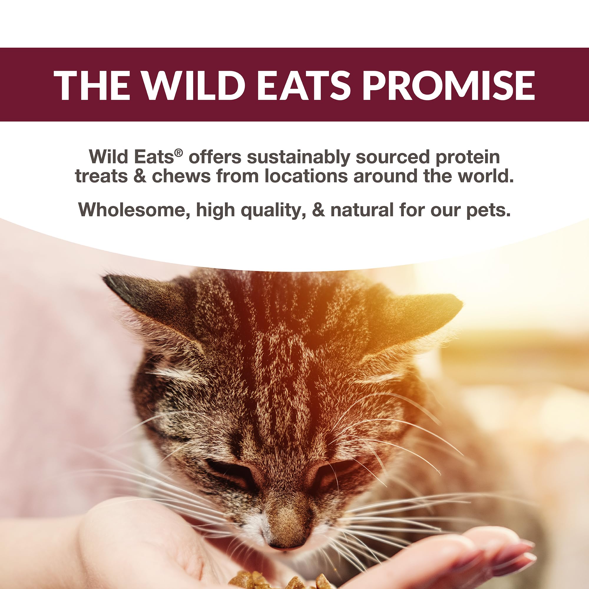 Wild Eats Simply Puree grain-free recipe close-up, easy digestion for sensitive tummies.