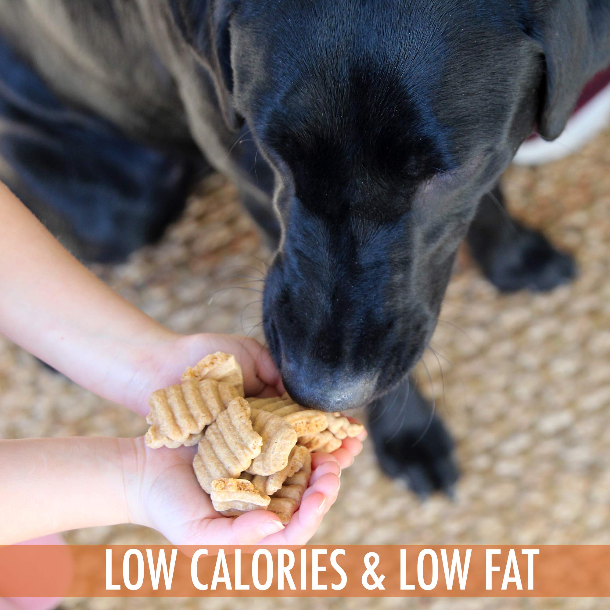 Wild Eats training rewards dog in action demonstrates convenient, tasty motivation.