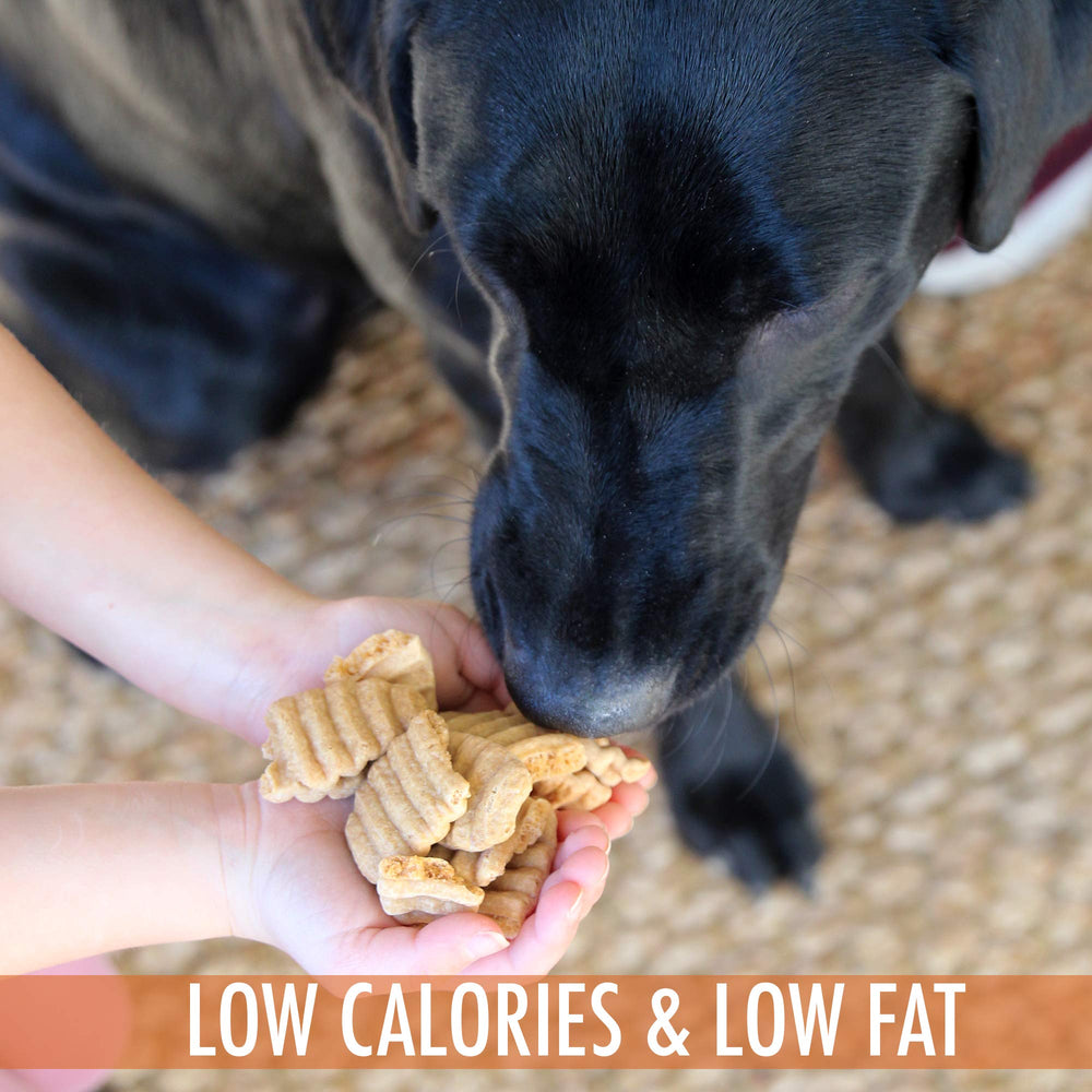 Wild Eats training rewards dog in action demonstrates convenient, tasty motivation.