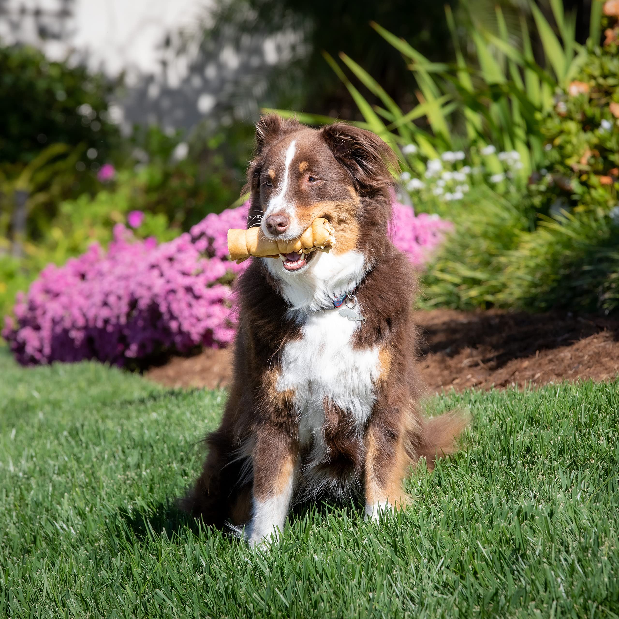 Wild Eats Water Buffalo Cheek Roll for aggressive chewers big dogs.