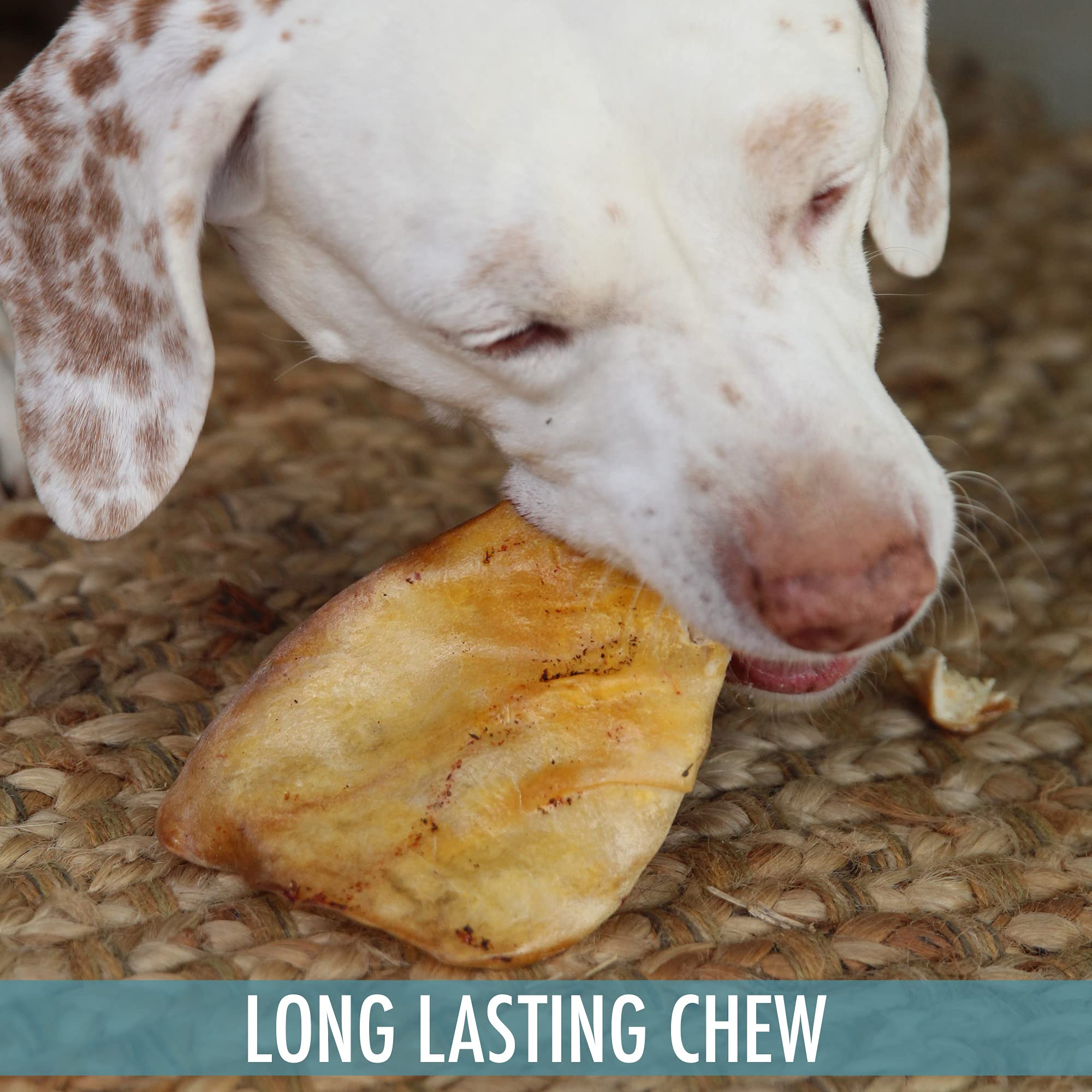 Wild Eats Water Buffalo ear dusted texture detail documents dental-chew potential through positive chewing.