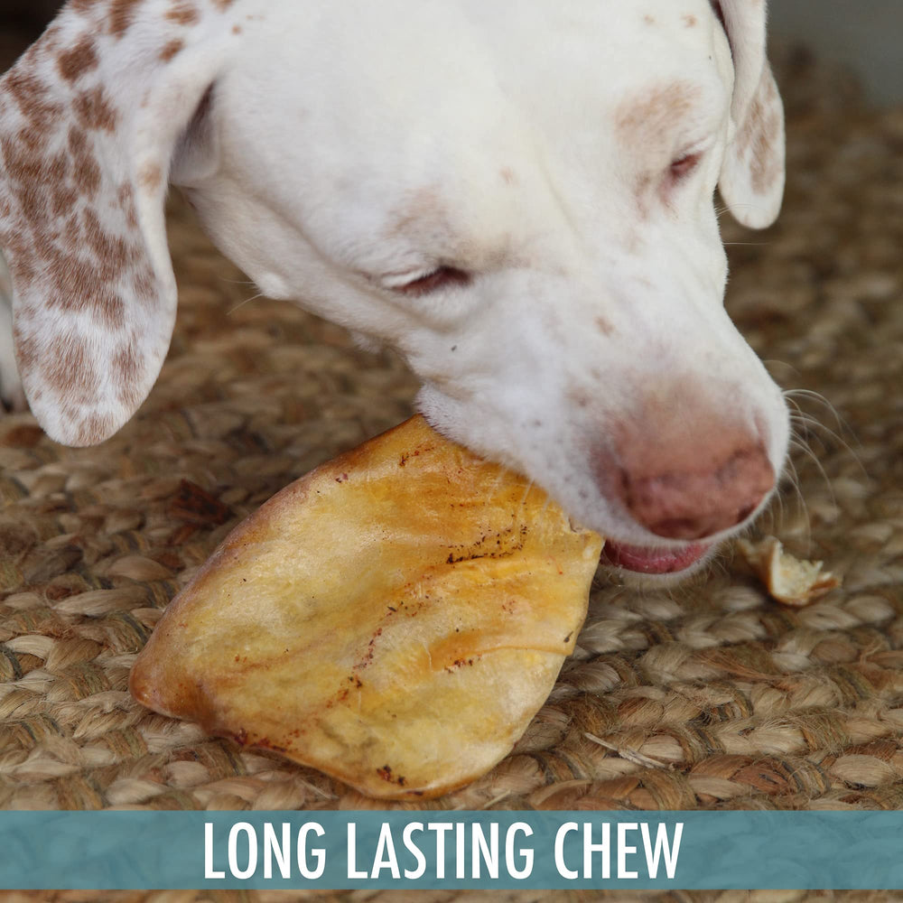 Wild Eats Water Buffalo ear dusted texture detail documents dental-chew potential through positive chewing.
