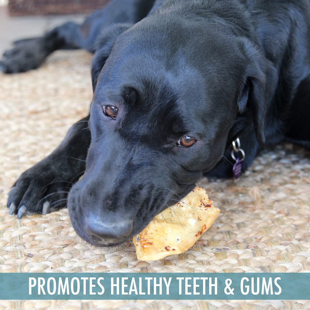 Wild Eats Water Buffalo ear treat pack view highlights grain-free, single-source protein option.