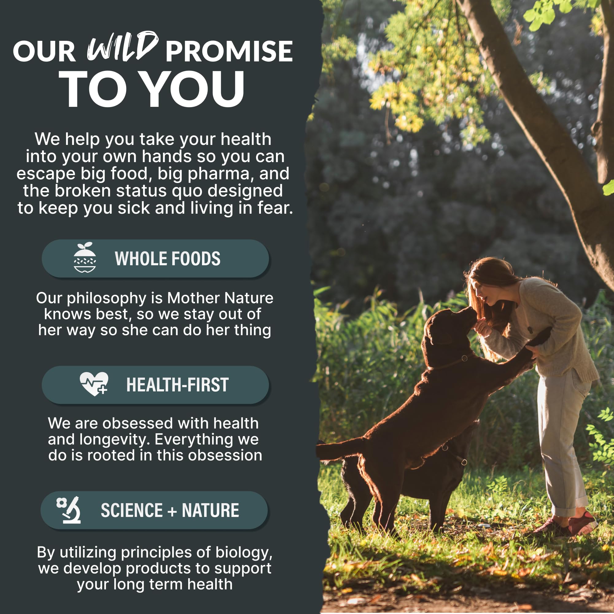 Wild Foods Wild Dog Fish Oil dosing at mealtime illustrating simple routine for multi-pet households.