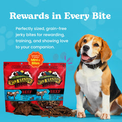 Wild Meadow Farms Classic Beef Bites close-up of soft chew for training rewards.