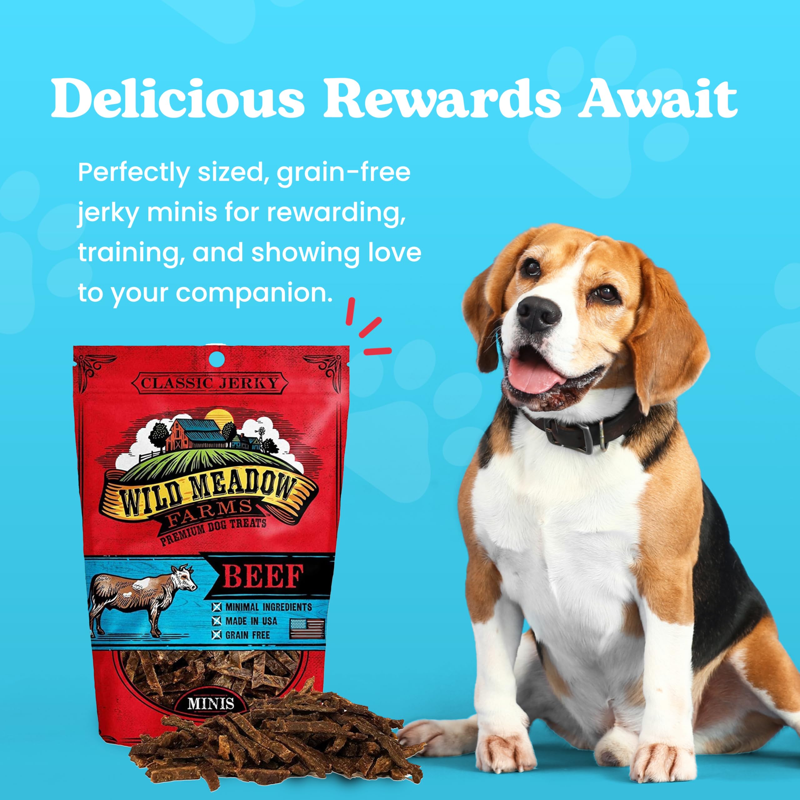 Wild Meadow Farms Classic Beef Minis soft-jerky close-up highlights grain-free all-natural ingredients for healthier snacking