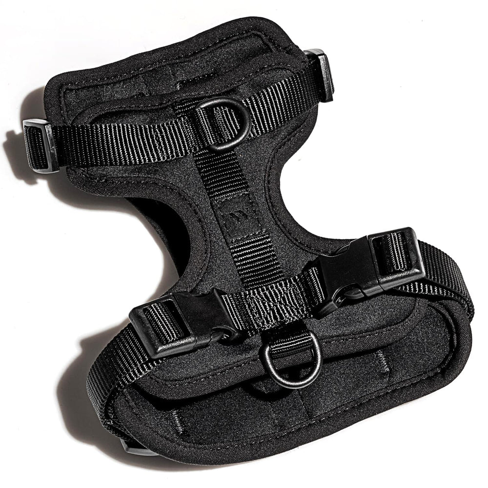 Wild One dog harness back-attachment D-rings for versatile walking options.