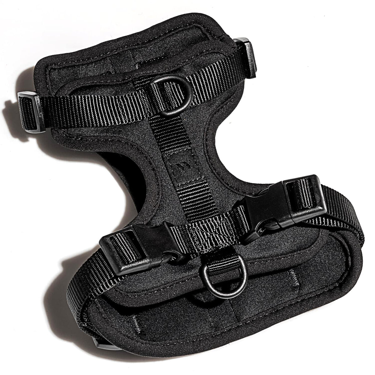 Wild One dog harness back-attachment D-rings for versatile walking options.