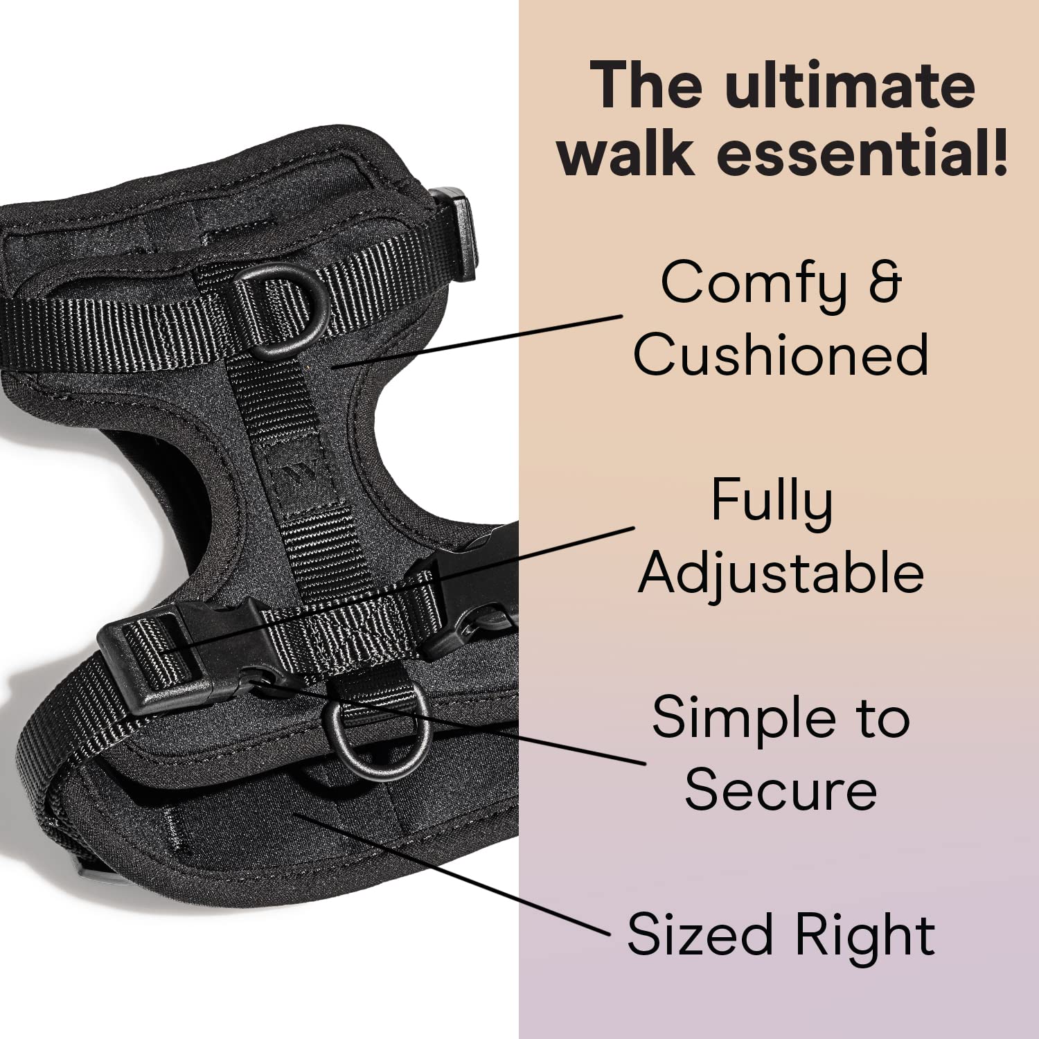 Wild One dog harness chest-attachment with adjustable fit for better guidance.