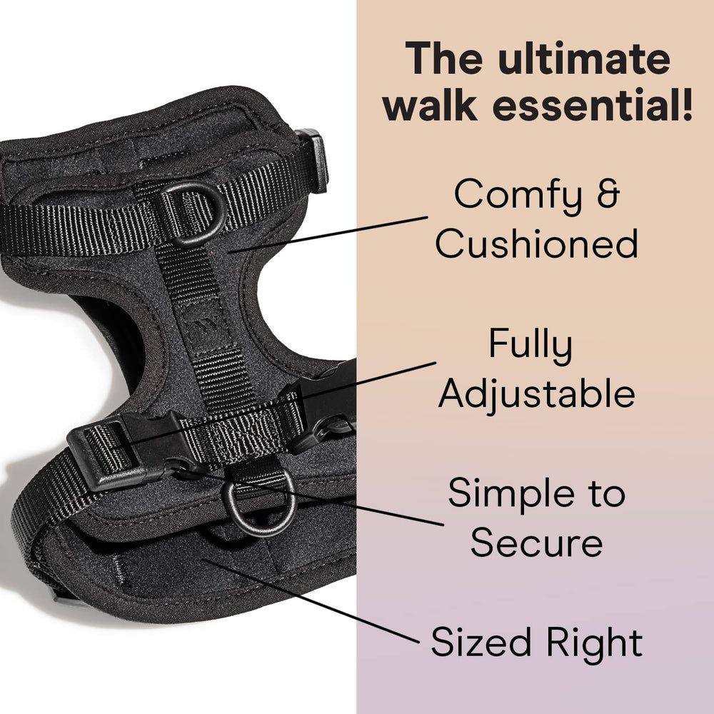 Wild One dog harness chest-attachment with adjustable fit for better guidance.