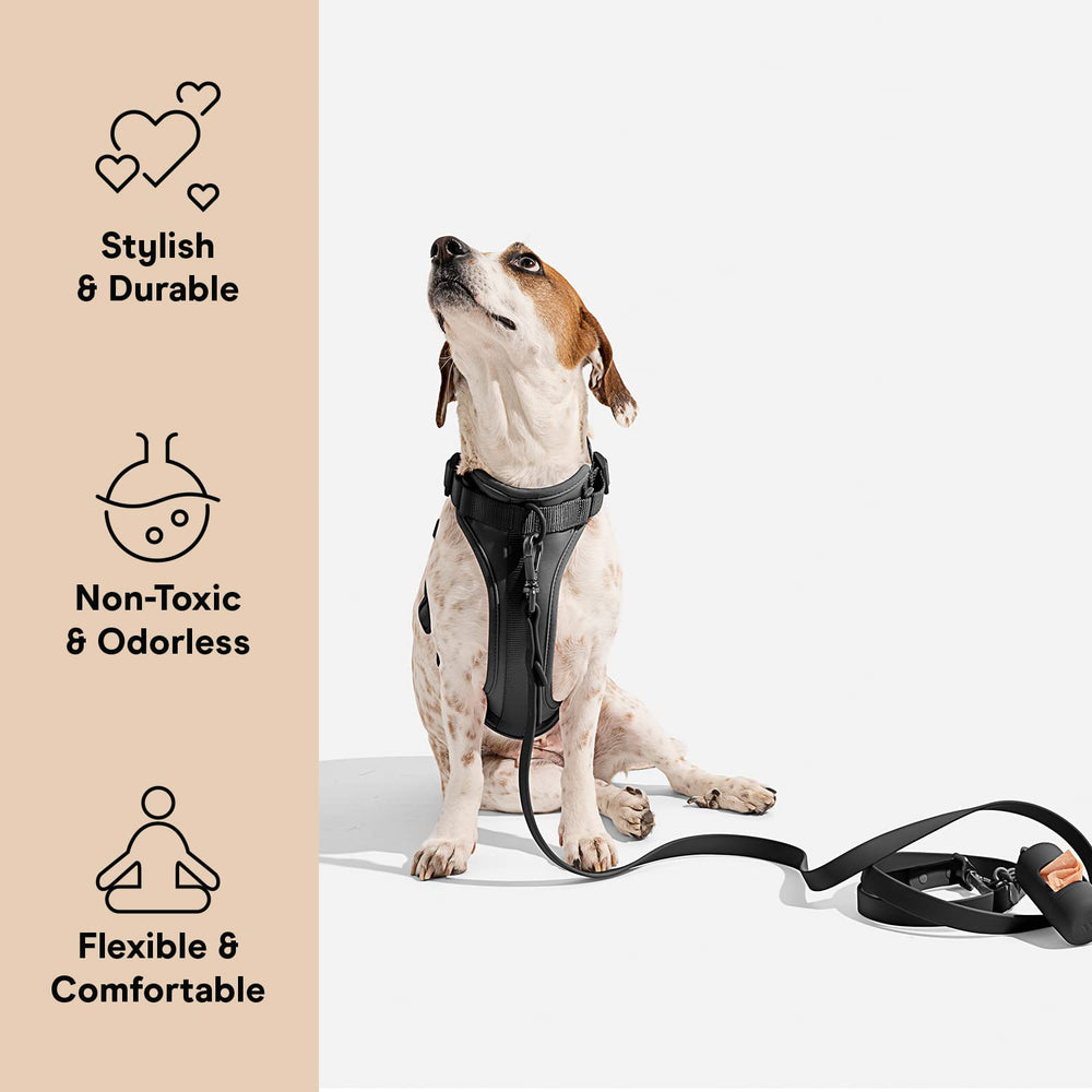Wild One dog harness front-attachment for no-pull training and control.