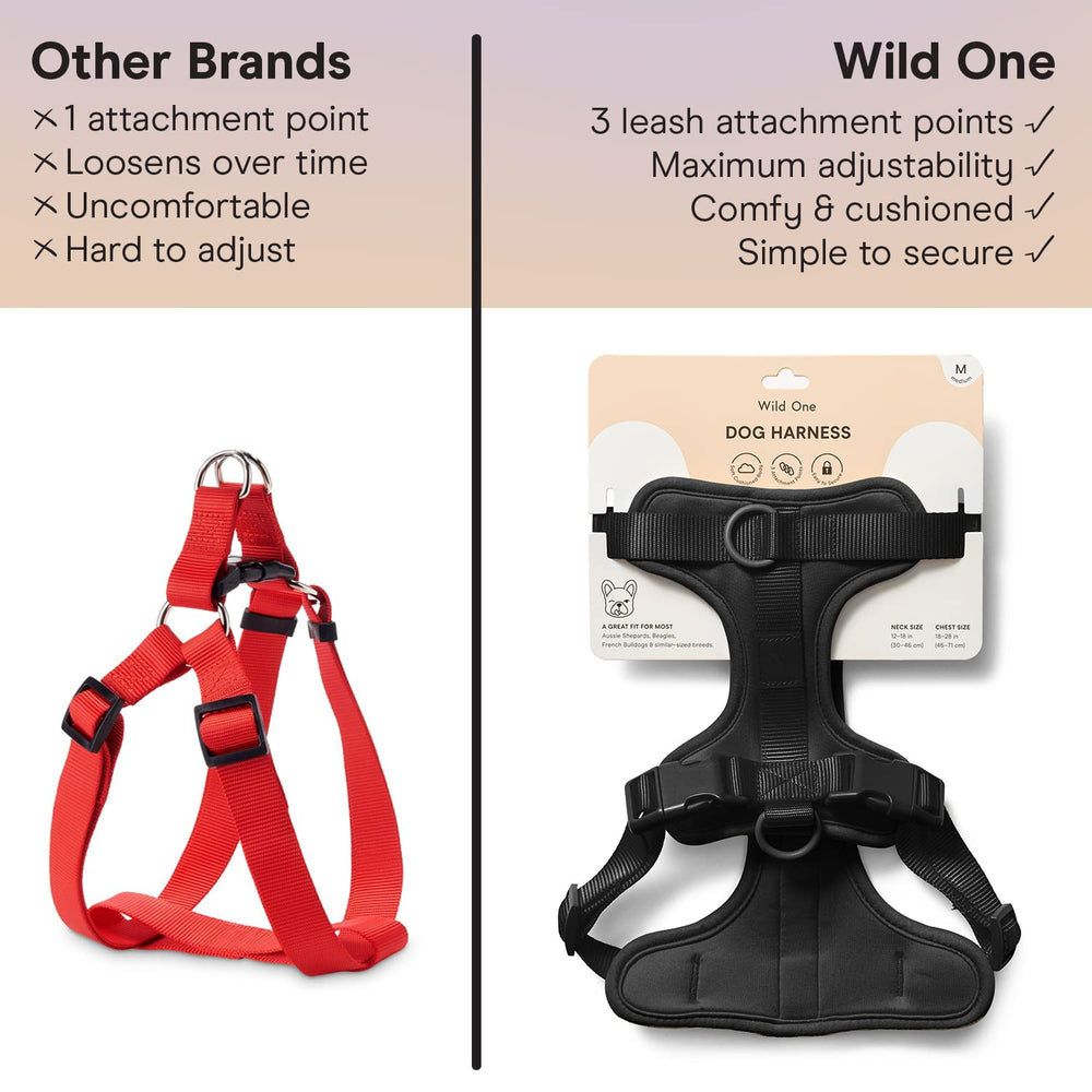 Wild One dog harness stylish nylon straps and hardware for a modern look.