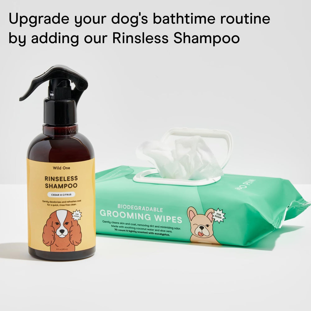 Wild One eucalyptus dog wipes natural cleansers image underscores safe everyday use.