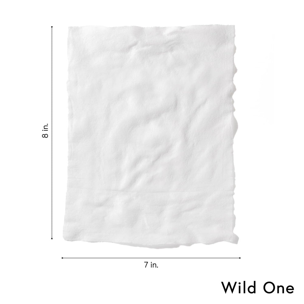 Wild One eucalyptus dog wipes vegan cruelty-free label signals ethical grooming.