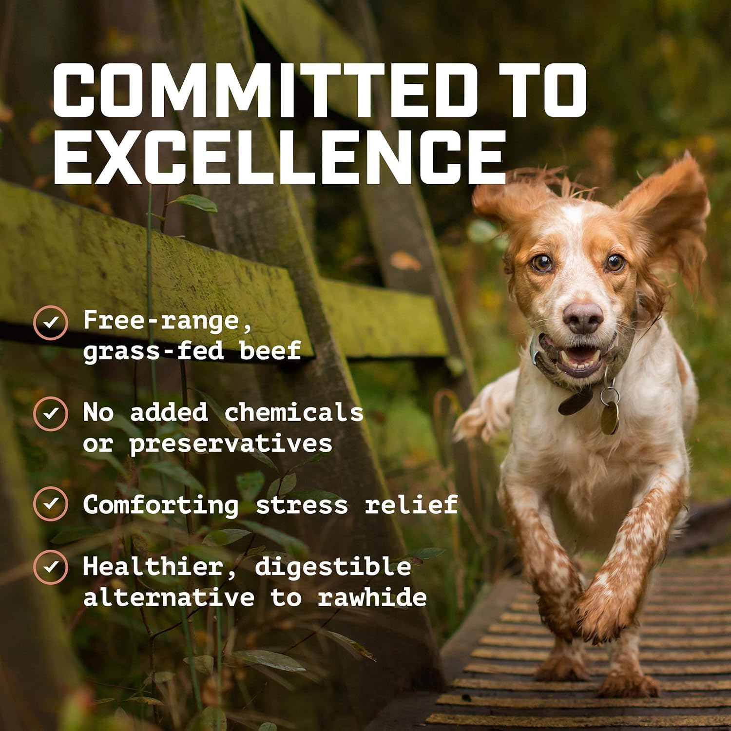 Wild Wolf Angus Bully Stick grass-fed-no-hormones highlights natural, hormone-free beef and healthy protein