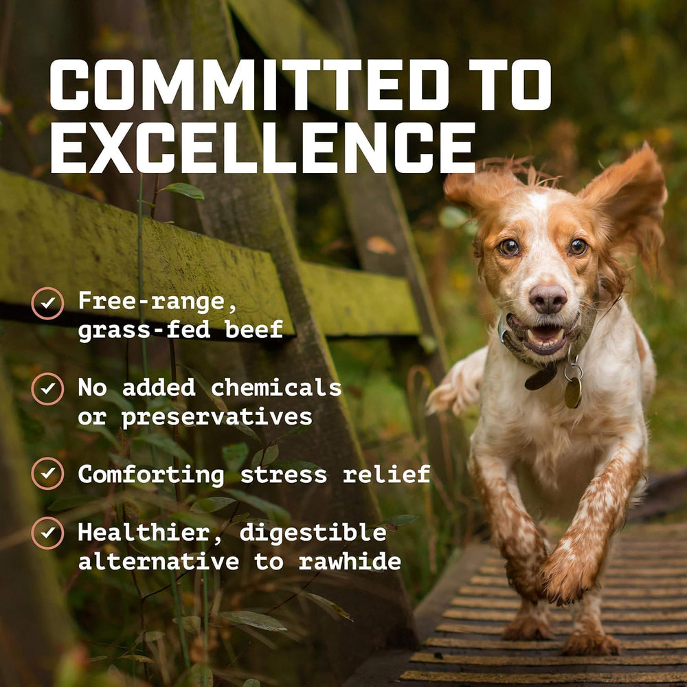 Wild Wolf Angus Bully Stick grass-fed-no-hormones highlights natural, hormone-free beef and healthy protein