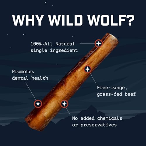 Wild Wolf Angus Bully Stick texture-durability shows long-lasting chew for healthy chewing habits