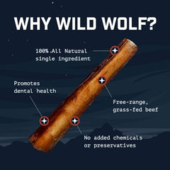 Wild Wolf Angus Bully Stick texture-durability shows long-lasting chew for healthy chewing habits