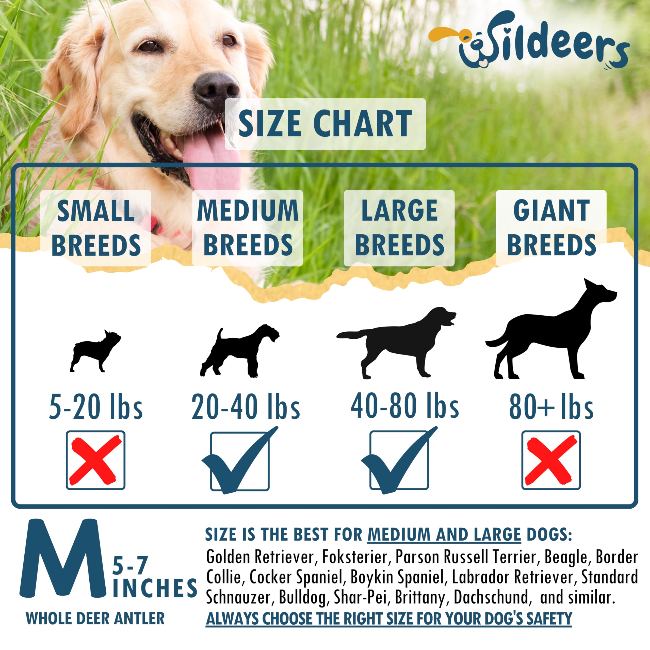 Wildeers long-lasting antlers designed for aggressive chewers and medium dogs.