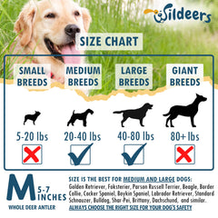 Wildeers long-lasting antlers designed for aggressive chewers and medium dogs.