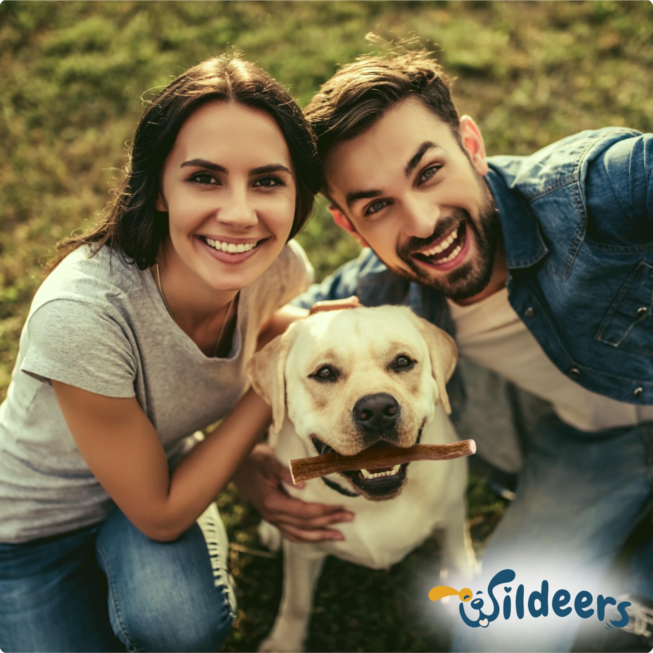 Wildeers antlers provide mess-free chewing during playtime and daily routines.