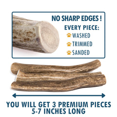 Wildeers natural shed deer antlers, USA-made chews offering mess-free, safe play.
