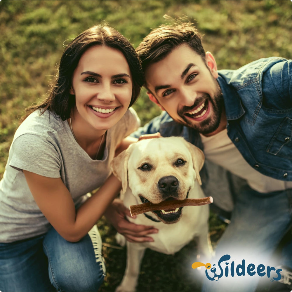 Wildeers Premium Deer Antlers tenderly durable for aggressive chewers, reducing unwanted chewing on household items.