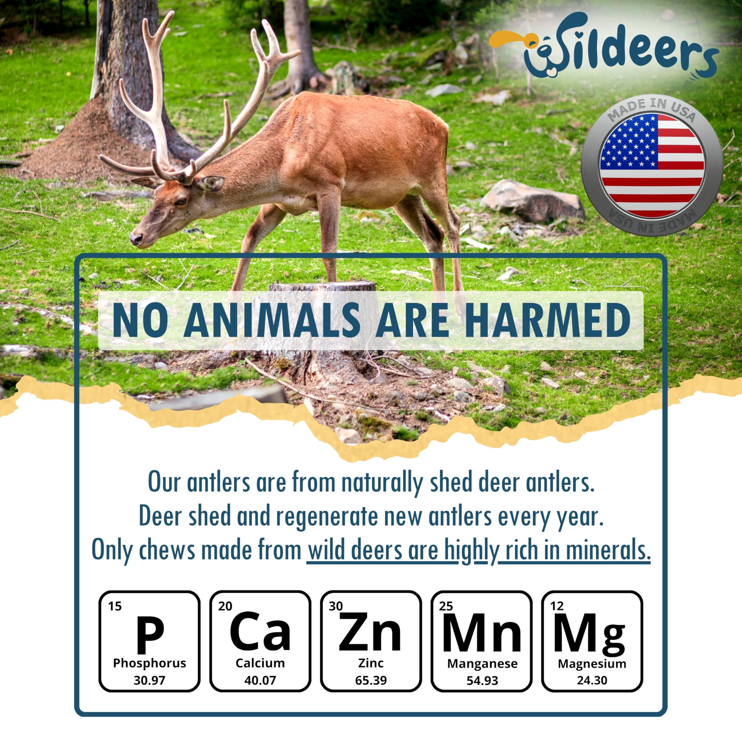 Wildeers Premium Deer Antlers clean-sealed packaging helps stay fresh and mess-free between use.