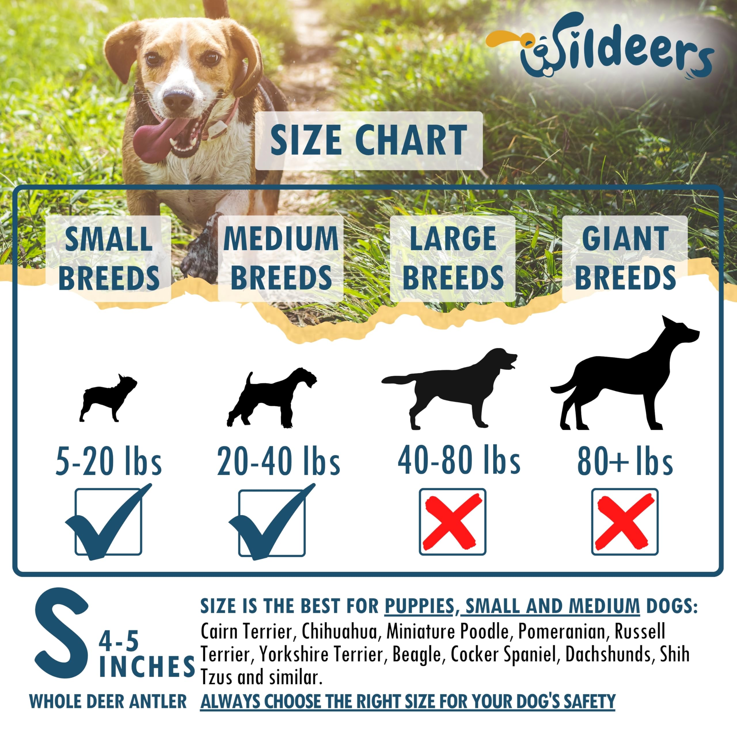 Wildeers Premium Deer Antlers naturally-shed indicates ethical, low-muss, clean raw material for pets.