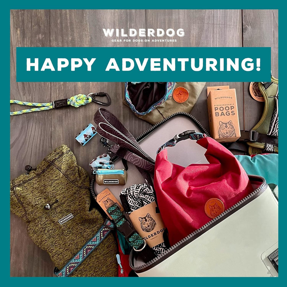 Wilderdog bowl on campsite demonstrates versatile pet and meal use