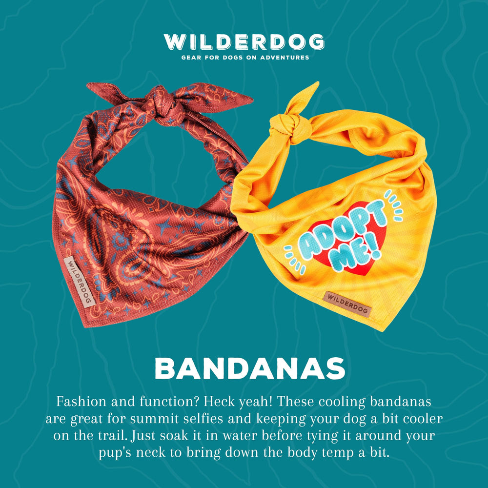 Wilderdog dog bandana 18x18-inch square size shown on a dog.