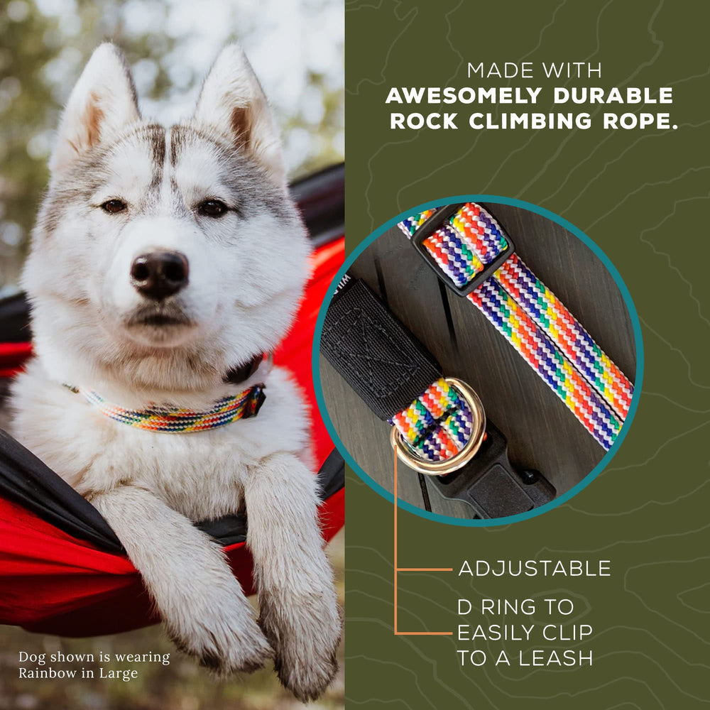 Wilderdog climbing rope collar adjustment demonstrates easy size changes for growing dogs.
