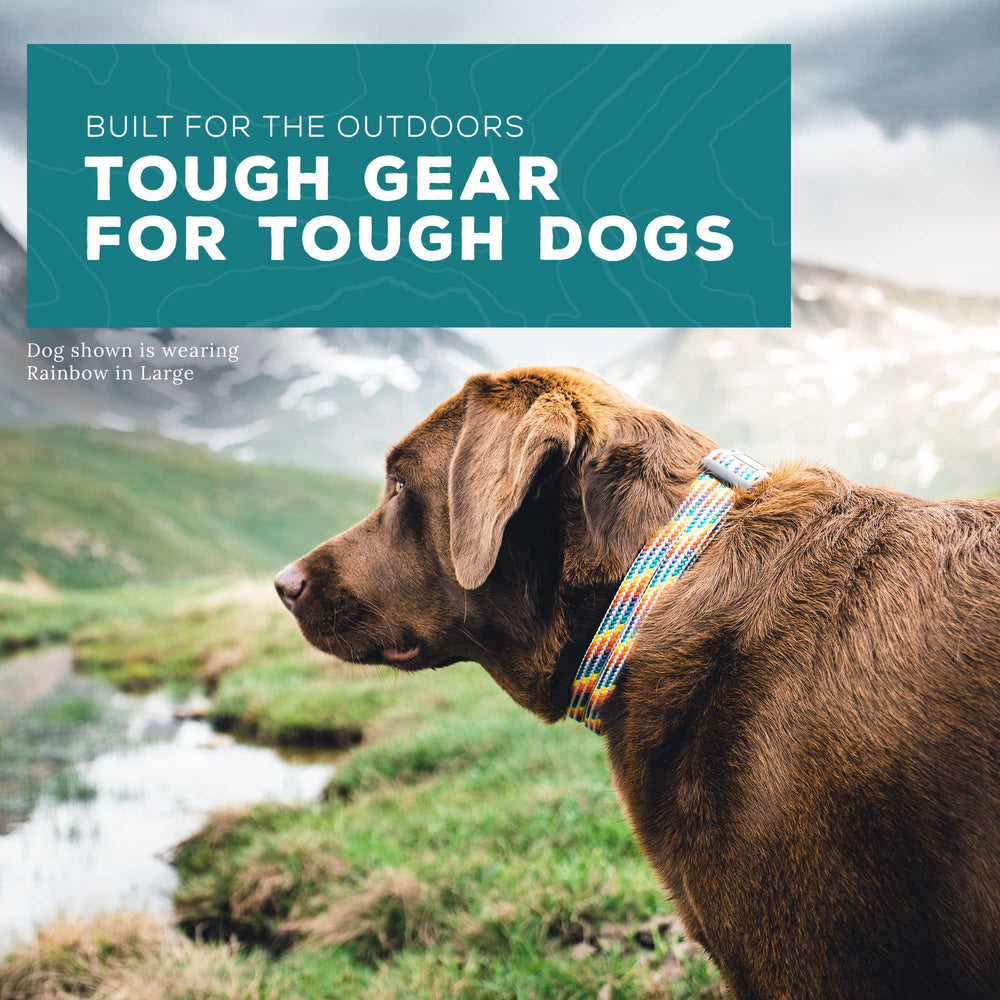Wilderdog climbing rope collar on dog during hike highlights comfortable fit and durability.