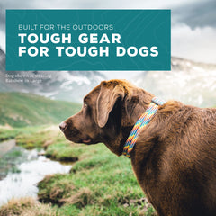 Wilderdog climbing rope collar on dog during hike highlights comfortable fit and durability.