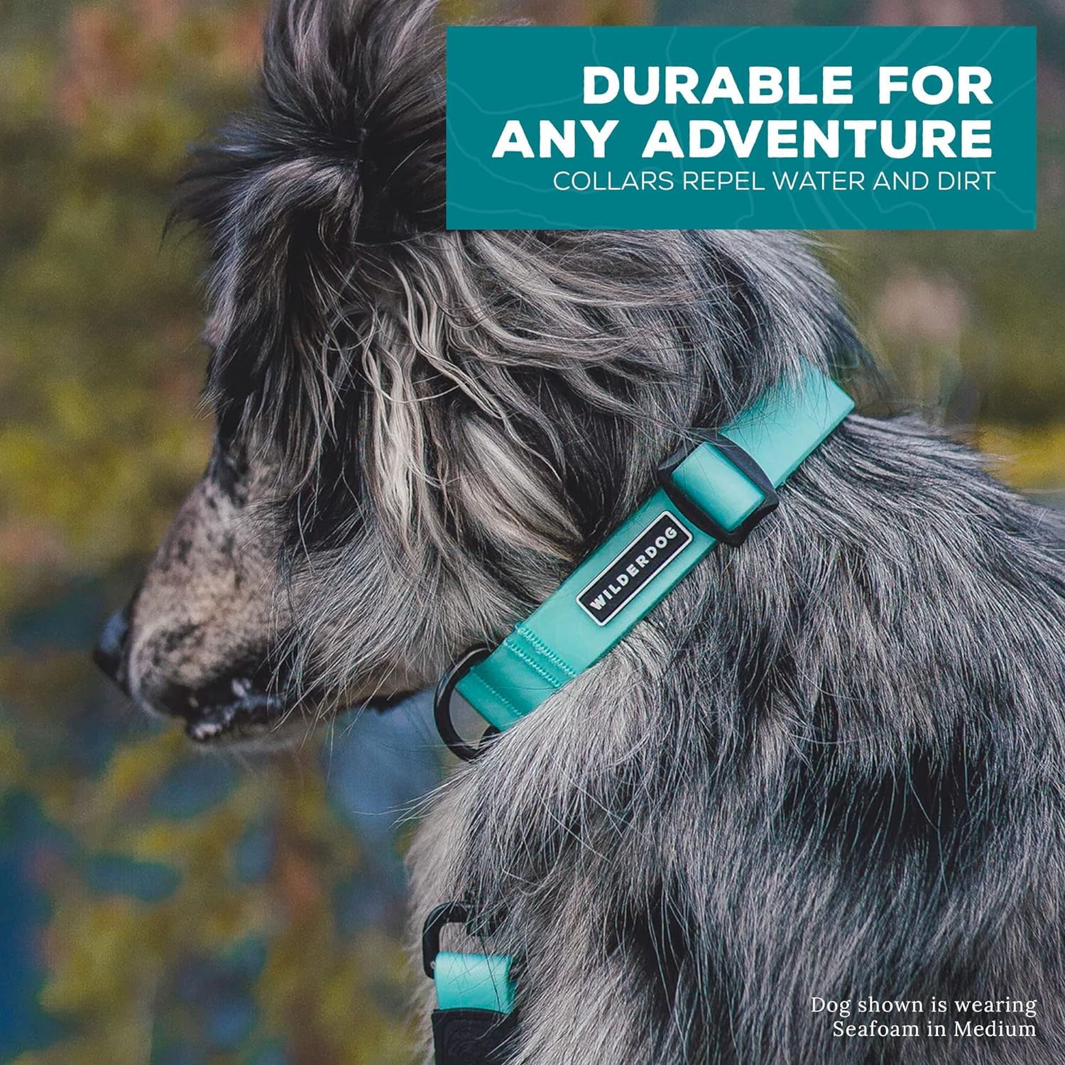 Wilderdog collar guava adjustable-band showcases a customizable fit for growing dogs.