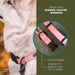 Wilderdog collar guava buckle-closeup emphasizes sturdy hardware for rugged trails.