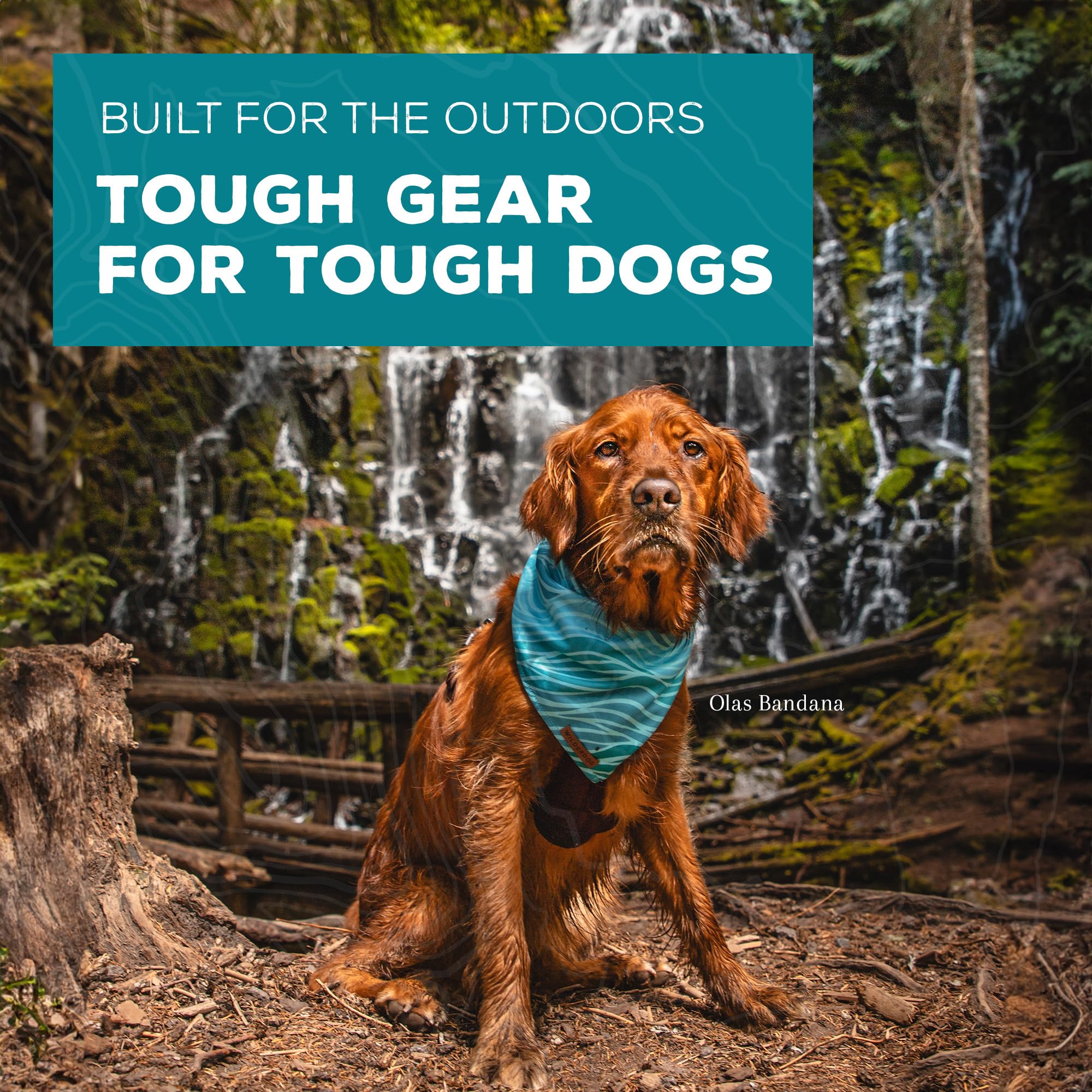 Wilderdog dog bandana folded ready to pack highlights travel-friendly quick-dry design