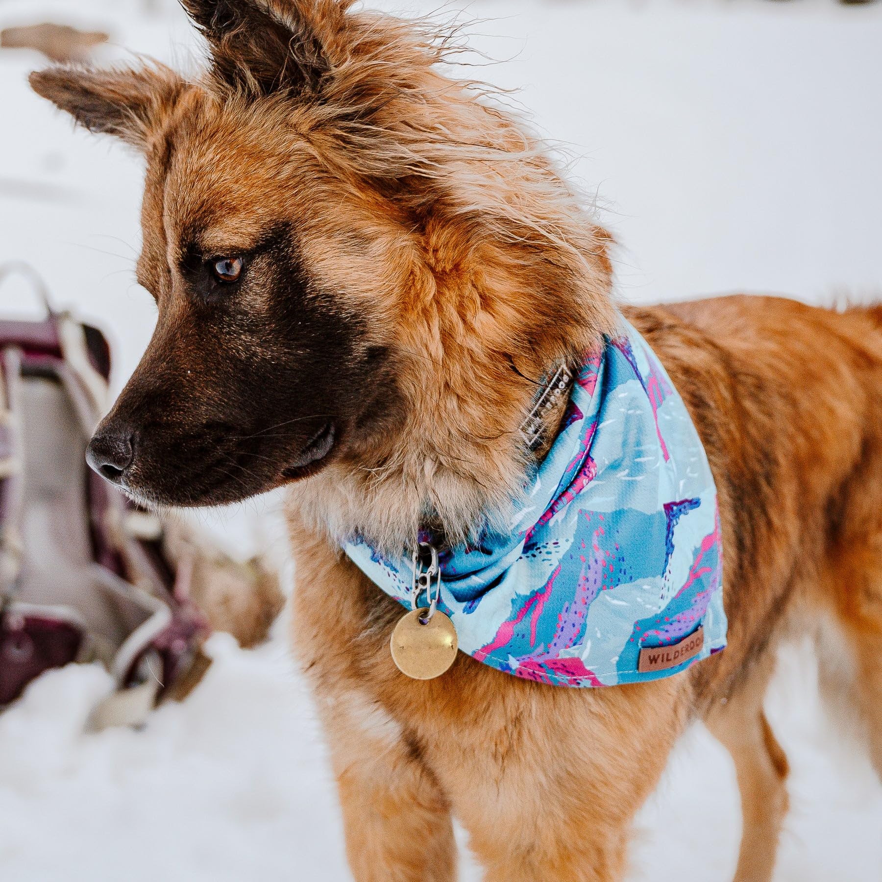 Wilderdog dog bandana soft texture detail provides comfortable daily wear