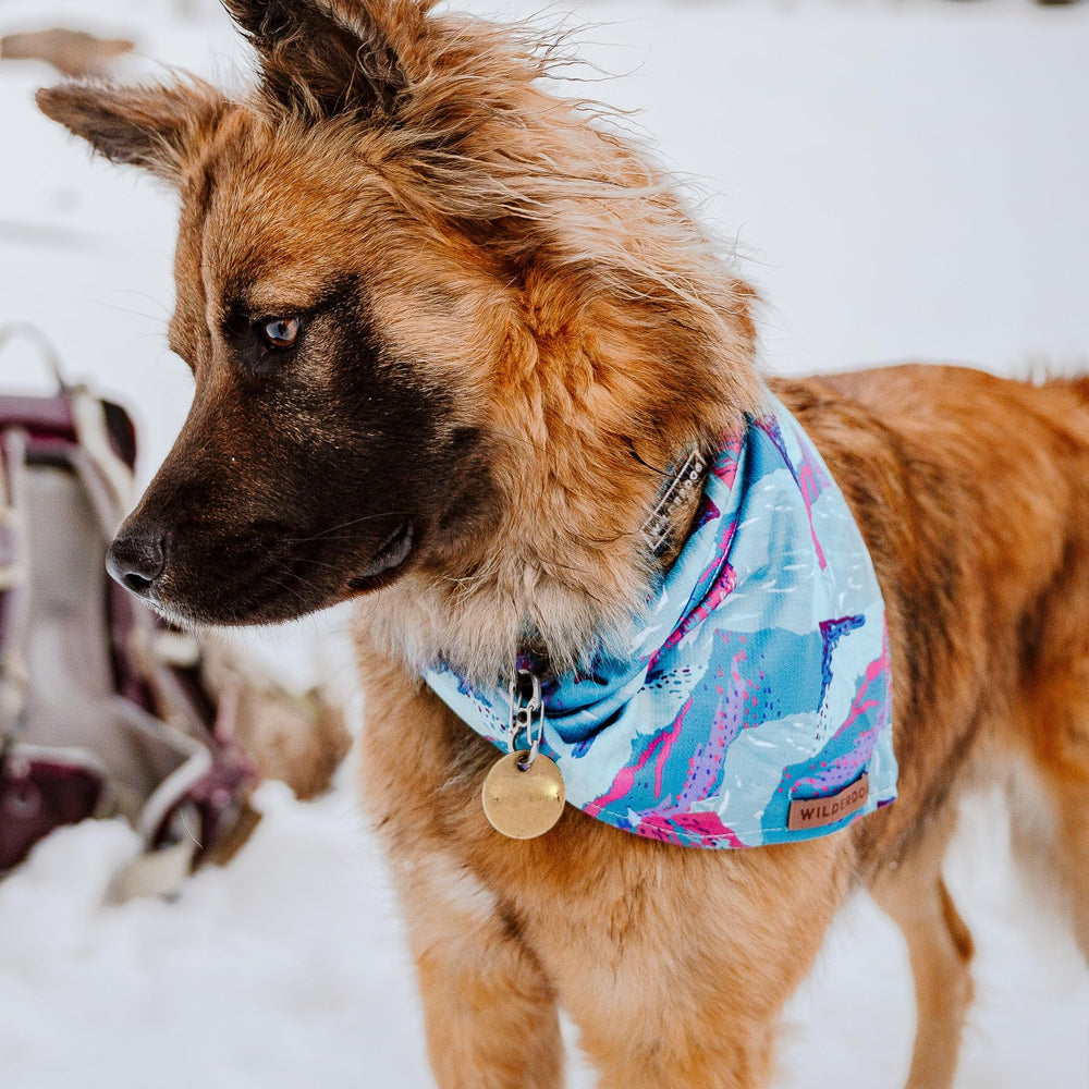 Wilderdog dog bandana soft texture detail provides comfortable daily wear